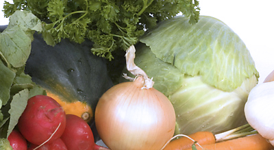 Organic Utopia Banner